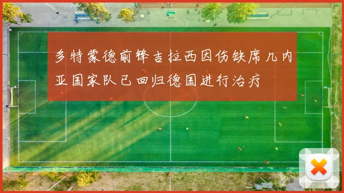 多特蒙德前锋吉拉西因伤缺席几内亚国家队已回归德国进行治疗