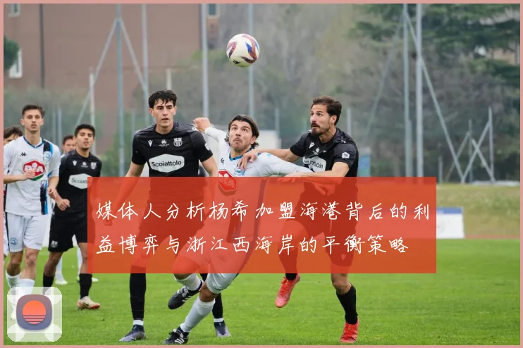 媒体人分析杨希加盟海港背后的利益博弈与浙江西海岸的平衡策略