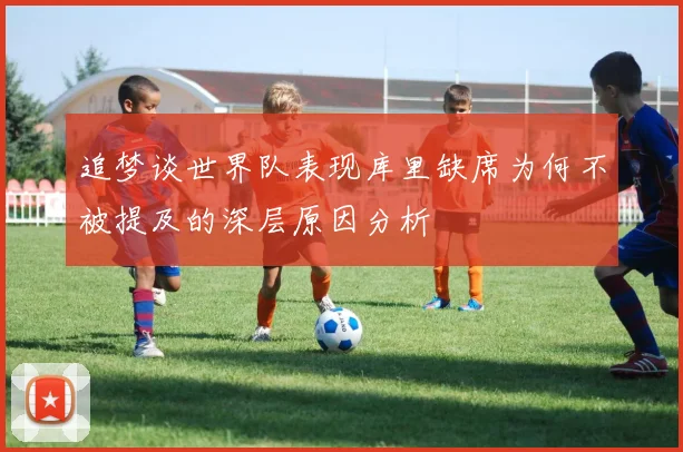 追梦谈世界队表现库里缺席为何不被提及的深层原因分析