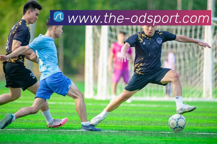 OD体育发展历程